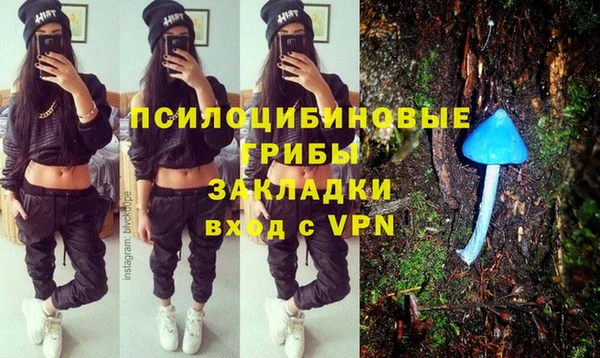 дживик Семилуки